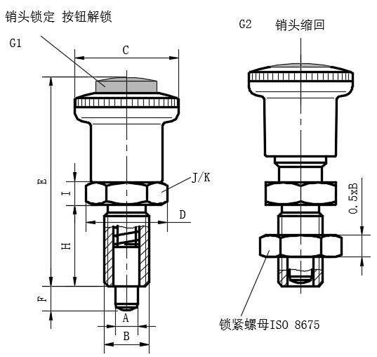 钢/不锈钢带按钮定止位分度销